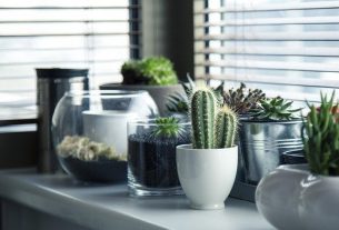 Los beneficios de tener plantas en tu baño