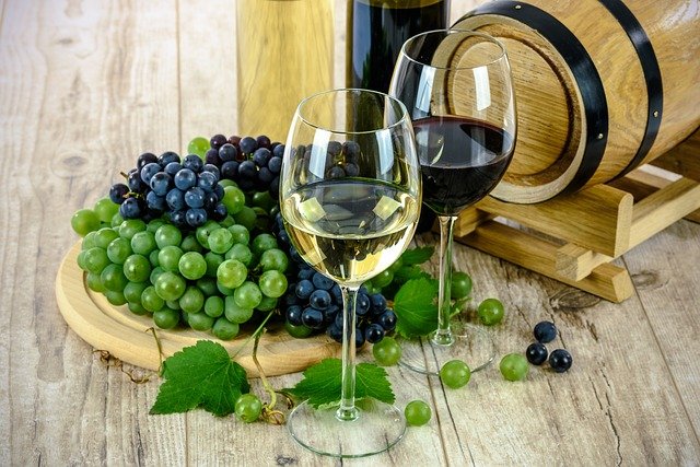 Los mejores consejos para los amantes del vino